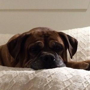 Meet your Posher, Selena